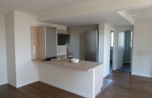 Aménagement intérieur d’un appartement à Montrouge - cuisine ouverte