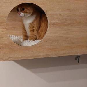 Meuble arbre à chat - Carole Barthez - La Maison Des Architectes