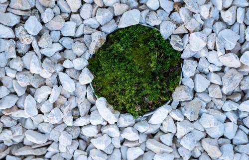 aménagement paysager