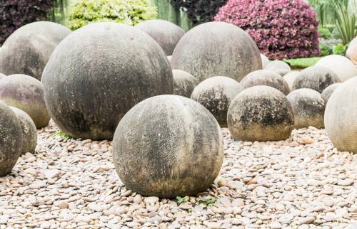 Amélioration esthétique d’un parterre paysage à Cormeray (41)