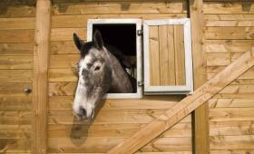 Rénovation d'une écurie - Yvelines (78)