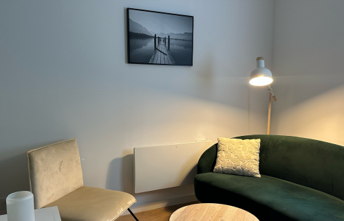  Rénovation salon d'un appartement à Lons-le-Saunier