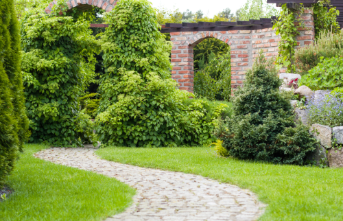 Allée de jardin