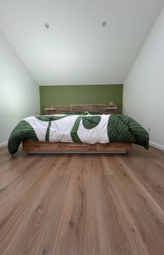 Création suite parentale sous les combles dans un garage (69290 Saint-Genis-les-Ollières)