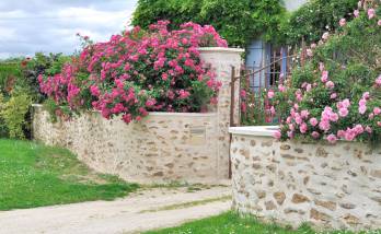 Clôture d’un pavillon à Saulx-les-Chartreux