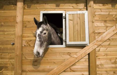 Rénovation d'une écurie - Yvelines (78)