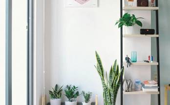 appartement décoré à Issy