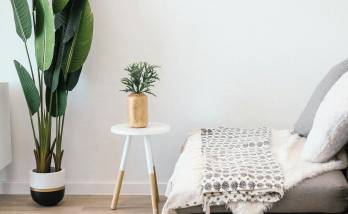  Rénovation de murs a Saintes