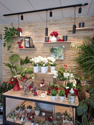 Travaux de déco d'une boutique de fleurs - Ambérieu-en-Bugey 01500