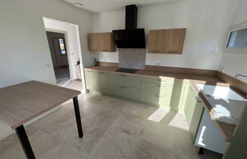 rénovation de maison avec une cuisine verte et bois