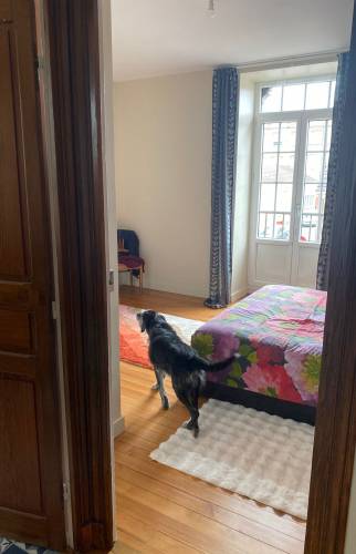 Réno de chambre Buxy