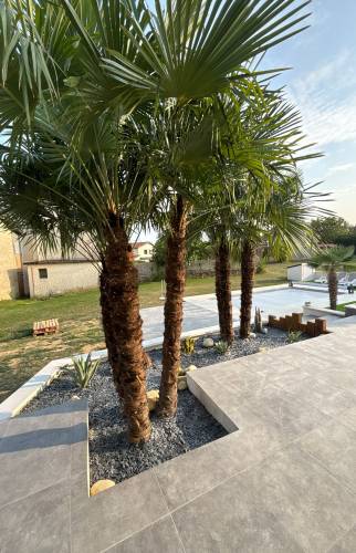 Création de terrasse en béton à Vienne