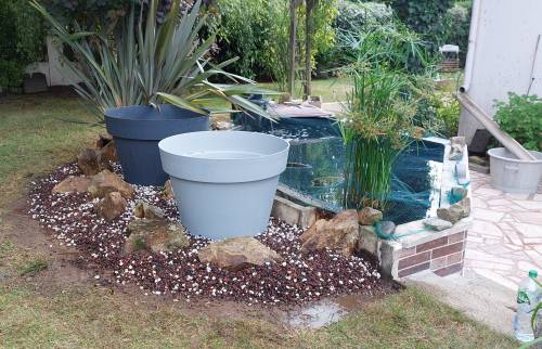 Bassin d'agrément à poissons