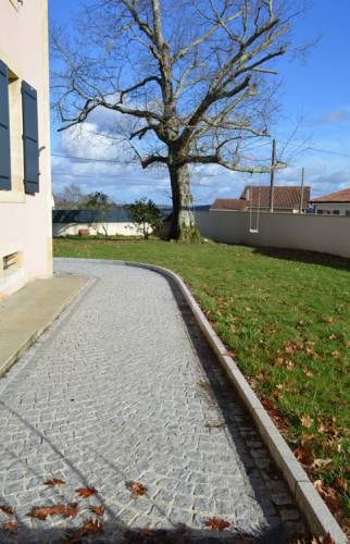 Allée pavé bordée aménagement extérieur de jardin 