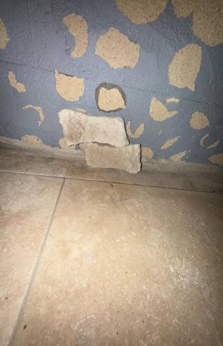 Pose parement en pierre