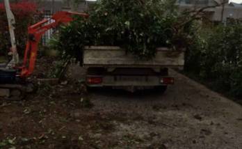 Déboisage et évacuation des déchets verts