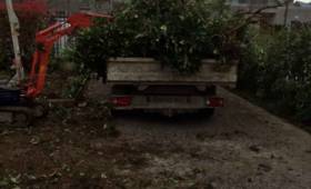 Déboisage et évacuation des déchets verts