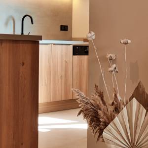 Rénovation partielle d’une maison en périphérie d’Annecy - Théo MARTIN - La Maison Des Architectes