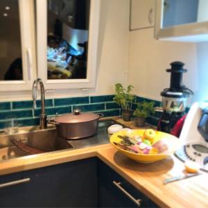 Appartement - Paris - Mathilde Rouquette - Architecte d'intérieur - La Maison Des Architectes