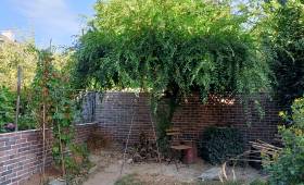 Construction d'un mur de clôture avec parement à Brest 29200