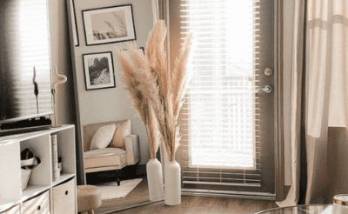 Rénovation appartement