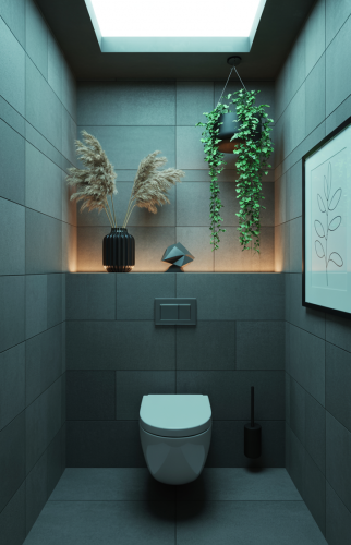 Rénovation des toilettes