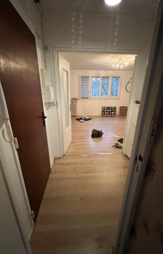  Salon avant rafraichissement