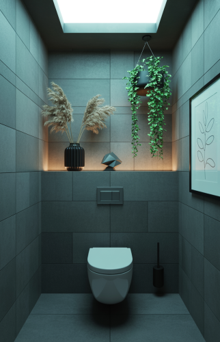 Rénovation des toilettes