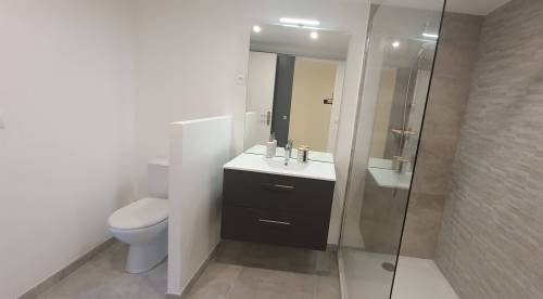 Aménagement de salle de bain après rénovation - Brie-Comte-Robert 77170