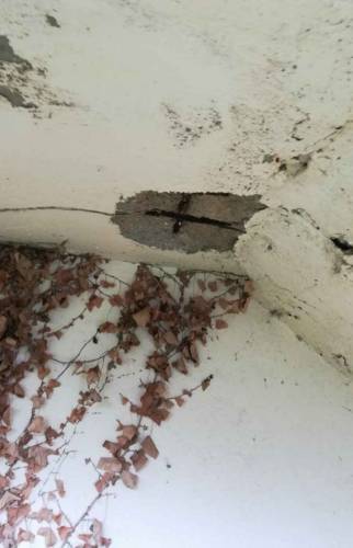 escalier extérieur fissuré