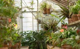 Rénovation d’une serre à Pessac