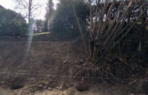 Arbuste retiré durant les travaux