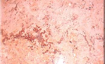 marbre