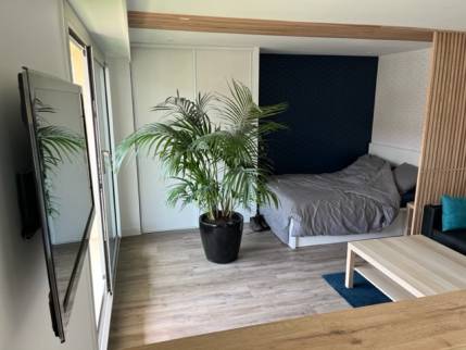 Appartement rénové - Nantes 44