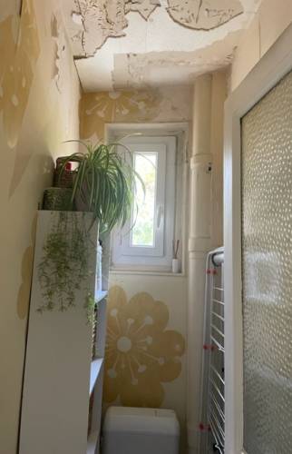 WC  avant rénovation