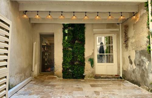 Rénovation cour intérieure mur végétal La Maison Des Travaux Nîmes