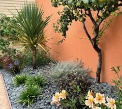 aménagement jardin les sables d'olonne