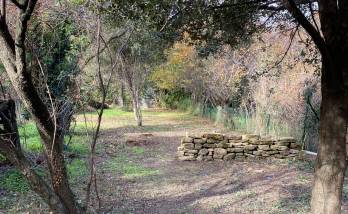 Réhabilitation jardin provençal