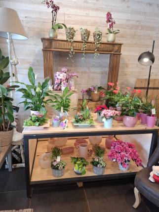 Travaux de décoration d'une boutique de fleurs - Ambérieu-en-Bugey 01500