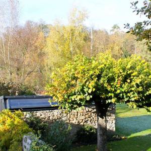 Création d'un atelier ossature bois, Val d'Oise - Vue sur le jardin