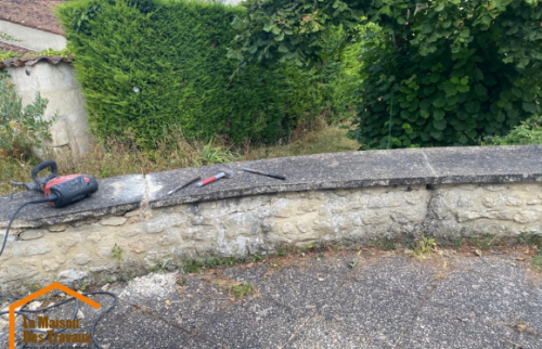 AVANT Muret en pierre et béton existant