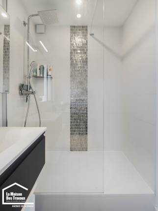 Faïence décorative argentée 