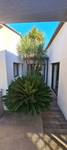 Aménagement d'allée