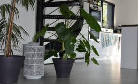 Rénovation de sol intérieur avec pose d'un béton ciré - Sainte-Maxime 83