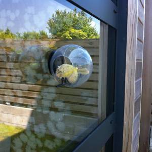 Extension en bois d'une maison traditionnelle, Bretagne - Baie vitrée pour illuminer les pièces à vivre