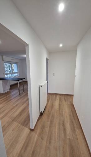 Rénovation de maison, parquet, peinture, cuisine, fenêtres à Mulhouse