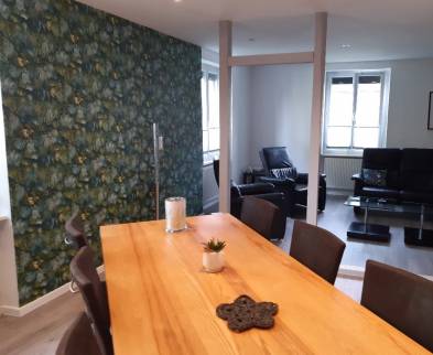 Faux plafonds, spots intégrés, rénovation du sol et peinture à Saint Louis