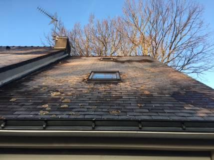 Toit en ardoise naturelle avant rénovation - Nantes 44