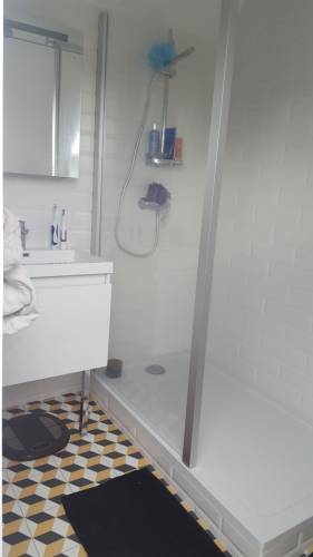 Aménagement de combles avec salle de bain en sous-pente - Rochefort 17