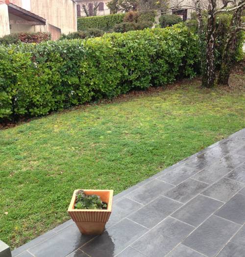 création terrasse en bois : avant les travaux